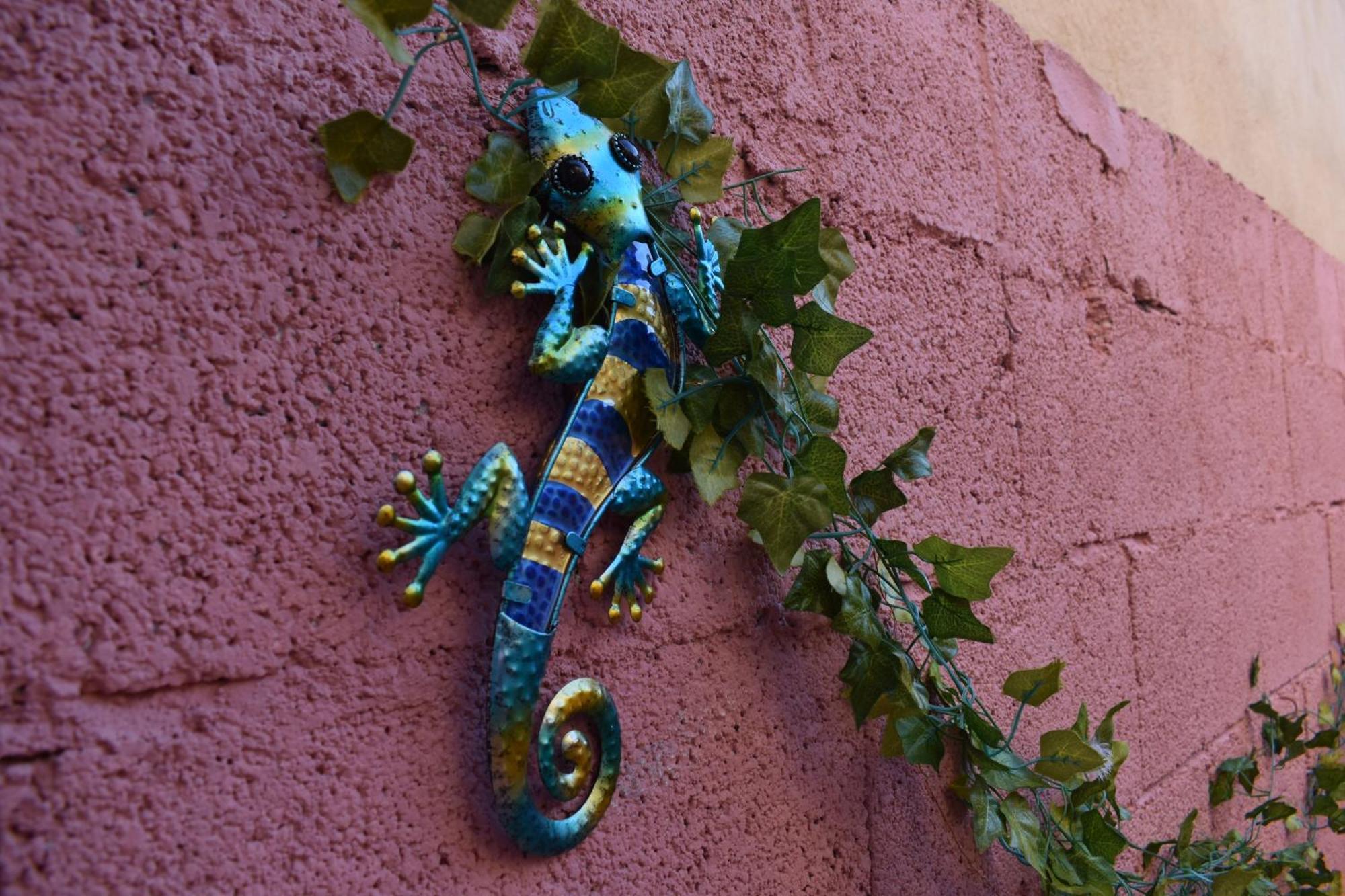 Casa Rural La Endrina Terriente エクステリア 写真