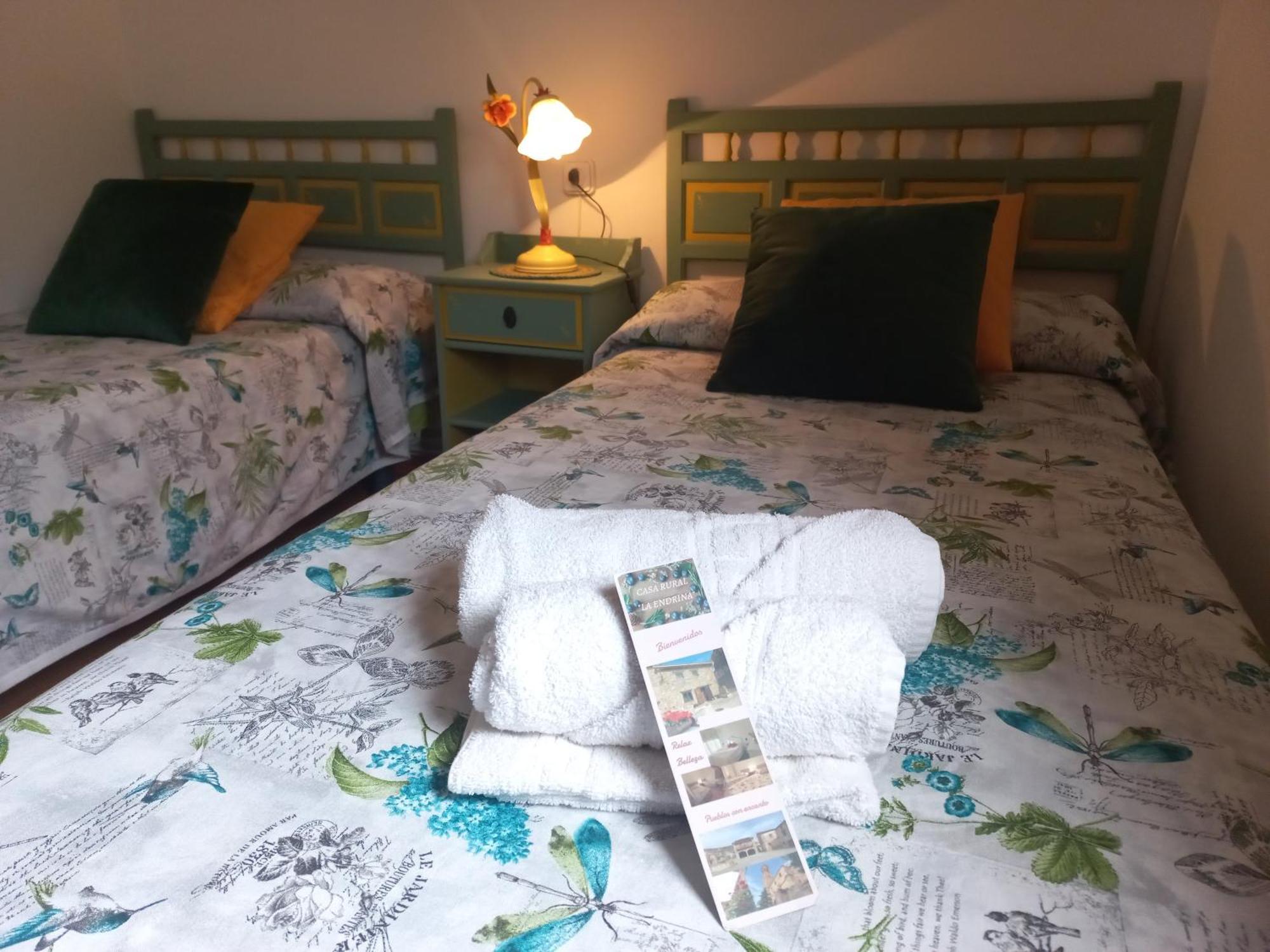 Casa Rural La Endrina Terriente エクステリア 写真
